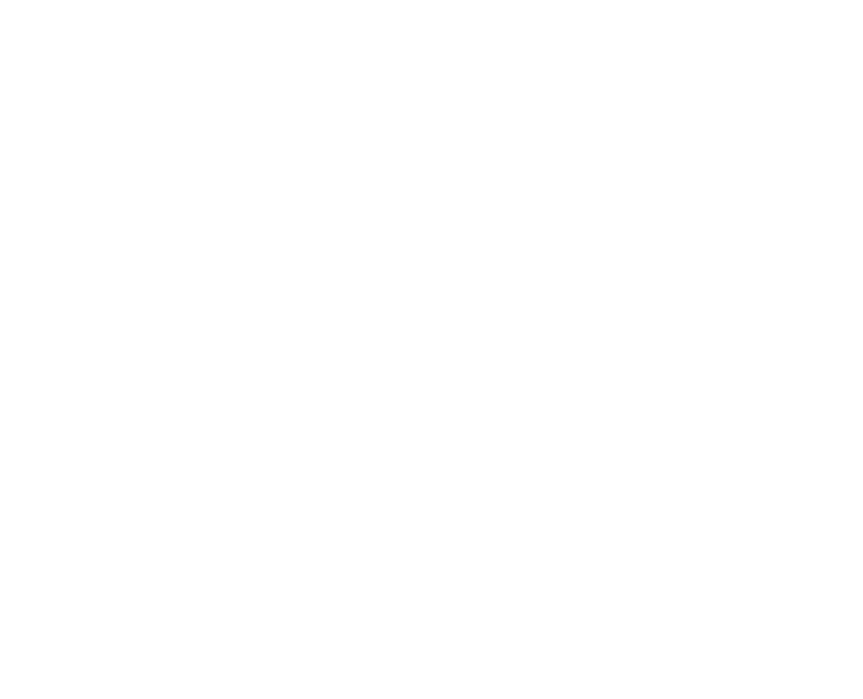 Carve Workshop Logo